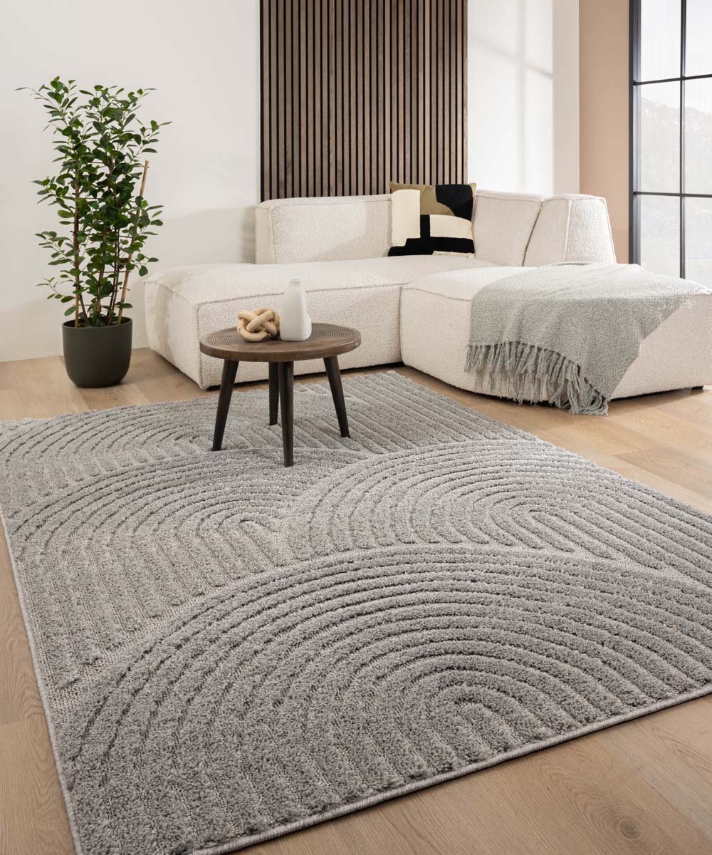 Scandinavisch vloerkleed - Arc Curve lichtgrijs 240x340