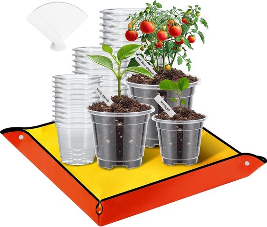 12 stuks kweekpotten met vochtkoepel, 9 cm, kunststof plantenpotten met deksel, ronde bloempotten met plantensteker, orchideeënpot, transparant, voor vetplanten, zaden, zaailingen