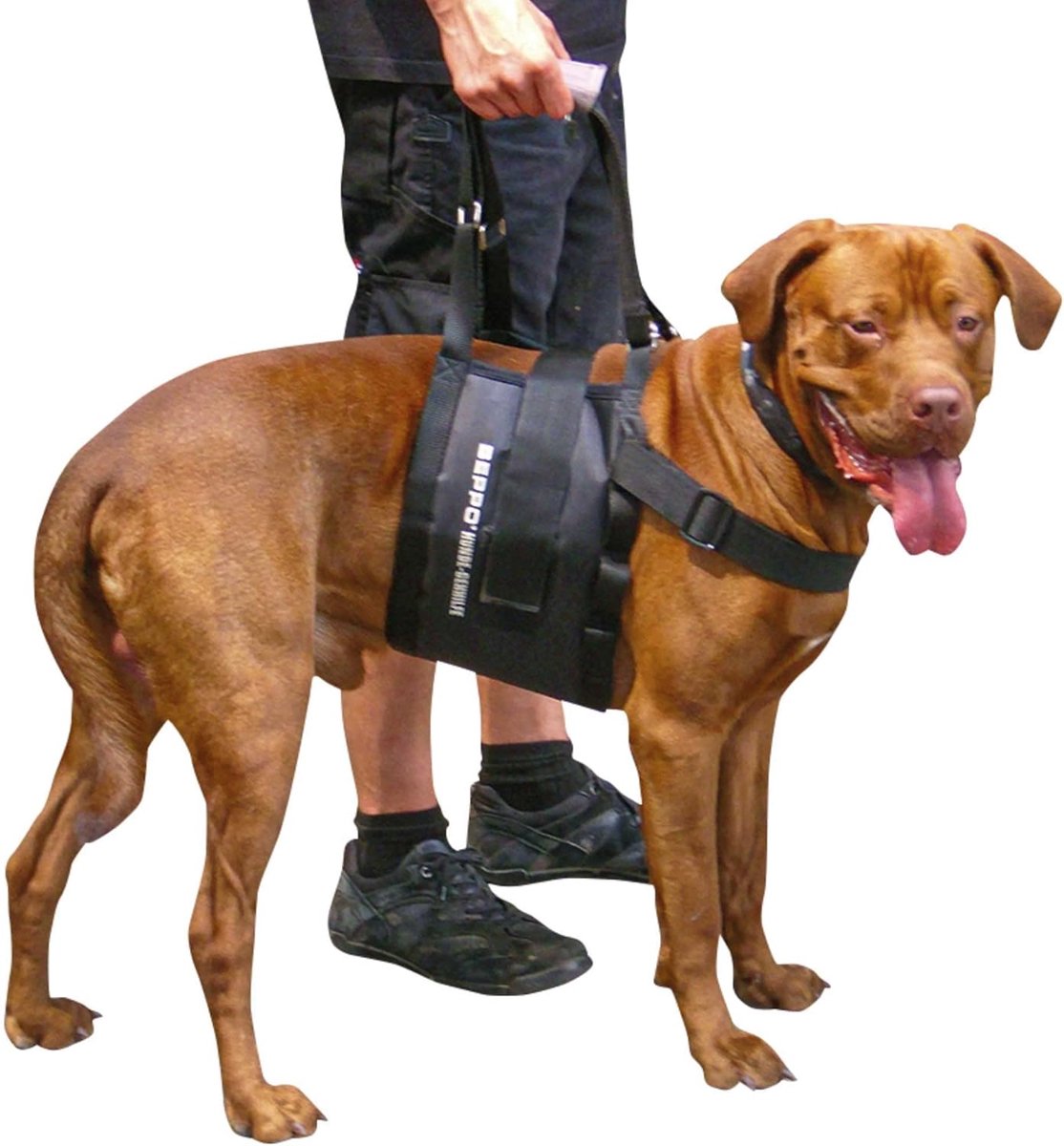 Hondenloophulp voor Grote Honden - One-Size Hondenhulp met Verstelbare Bevestigingen