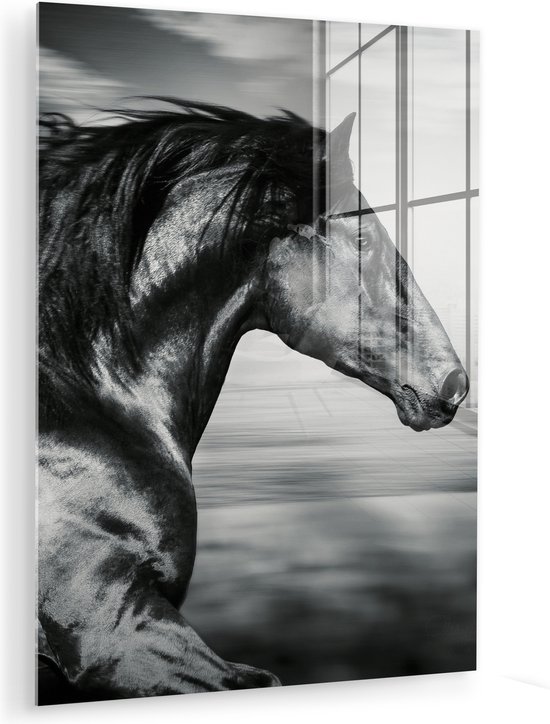 MuchoWow - Peinture sur verre - Photo sur verre - Verre acrylique - Animaux - Cheval - Nature - Zwart et blanc - Décoration murale - 120x160 cm - Peinture cheval - Peintures de salon