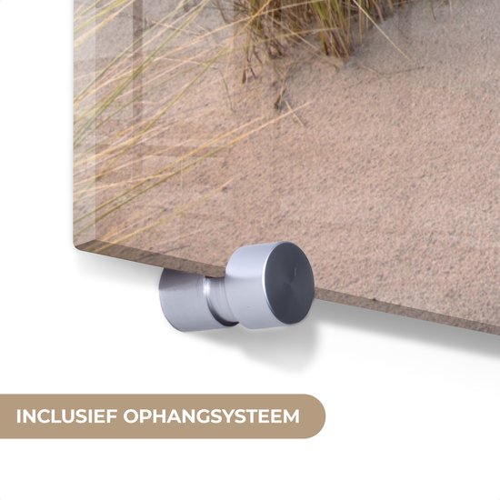 MuchoWow® Peinture sur verre 80x120 cm - Peinture sur verre acrylique - Plage - Mer - Dune - Nederland - Rose - Photo sur verre - Peintures