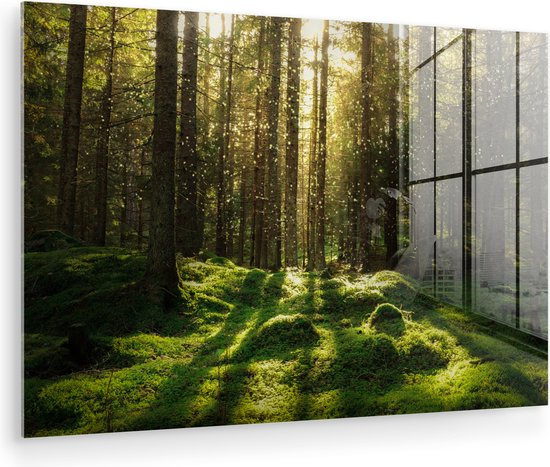 Peinture sur verre - Verre acrylique - Peinture sur verre nature - Nature - Arbre - Forêts - Décoration murale - 180x120 cm - Photo sur verre - Peinture sur verre - Chambre