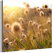 Décoration murale Métal - Peinture Aluminium Industriel - Plantes - Nature - Fleurs - Soleil - Horizon - 160x120 cm - Dibond - Photo sur aluminium - Décoration murale industrielle - Pour le salon/chambre