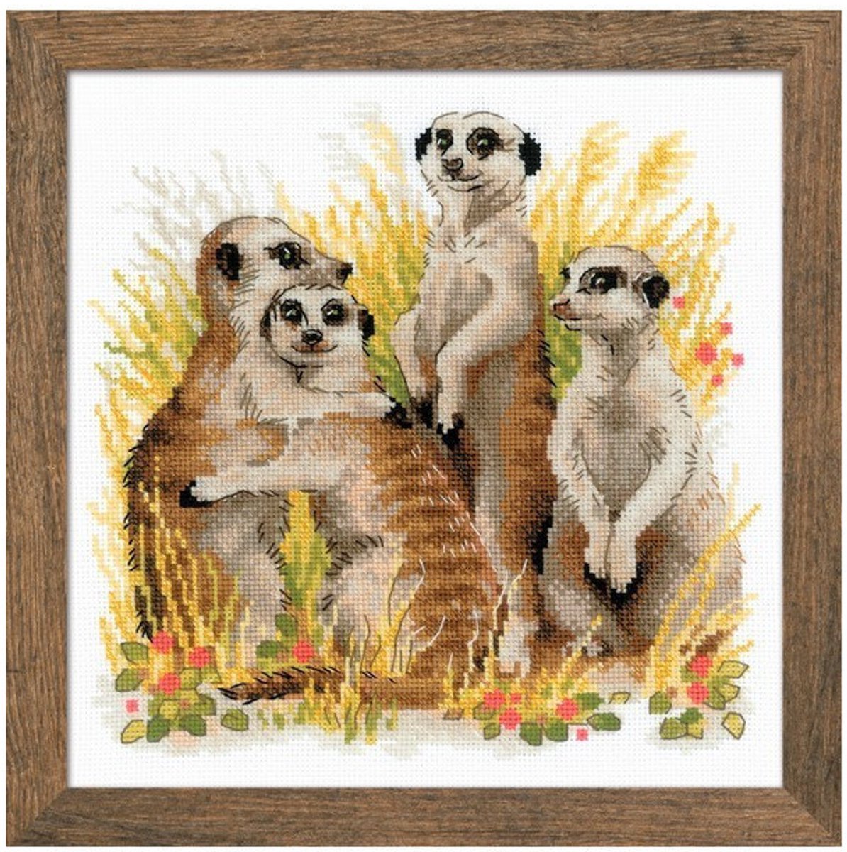 RIOLIS Meerkats borduren (pakket)