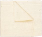 Toile anti-poussière Master 40 x 80 mm