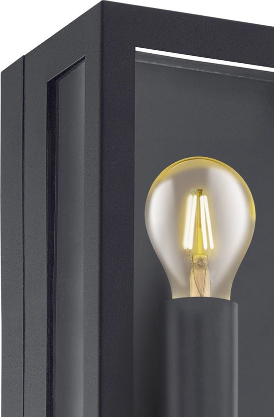 Toolight App1304-1W Applique Murale Noir 12X15X25Cm