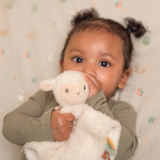 Petit néerlandais | Doudou Mouton