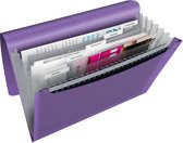 Esselte Colour'Breeze A4 Uitzetbare Projectmap - Organiser met 5 Tabbladen/6 Vakken - Lavendel