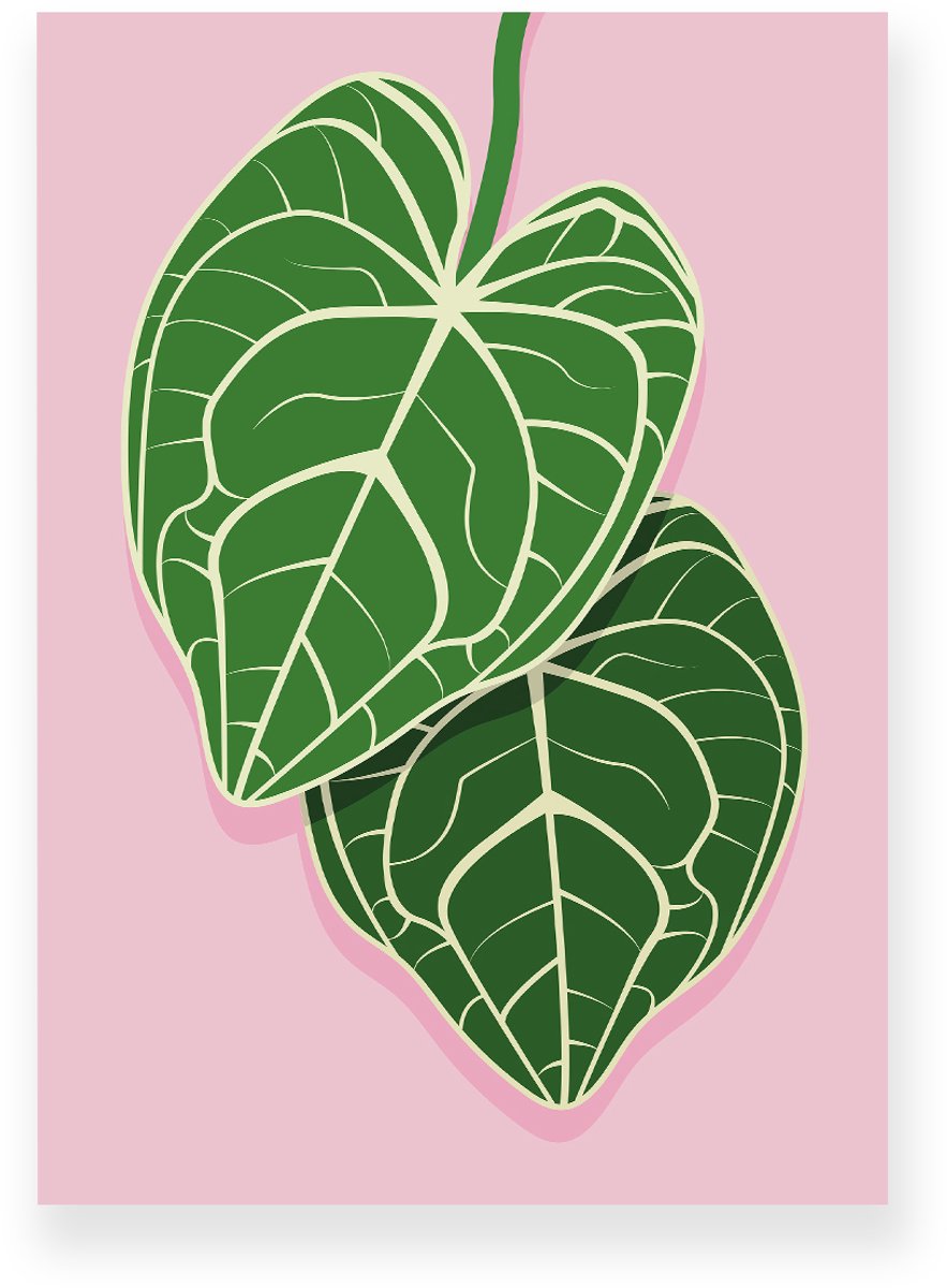 Yisual Poster 20x30 cm - Anthurium Bladeren - Planten - Groen - Roze - Botanisch - Minimalistisch - Muurdecoratie - Wanddecoratie