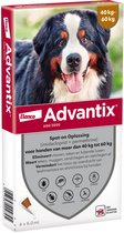 Advantix Spot On 600 Anti Vlooien en Teken Druppels Hond 40 - 60 kg 4 pipetten