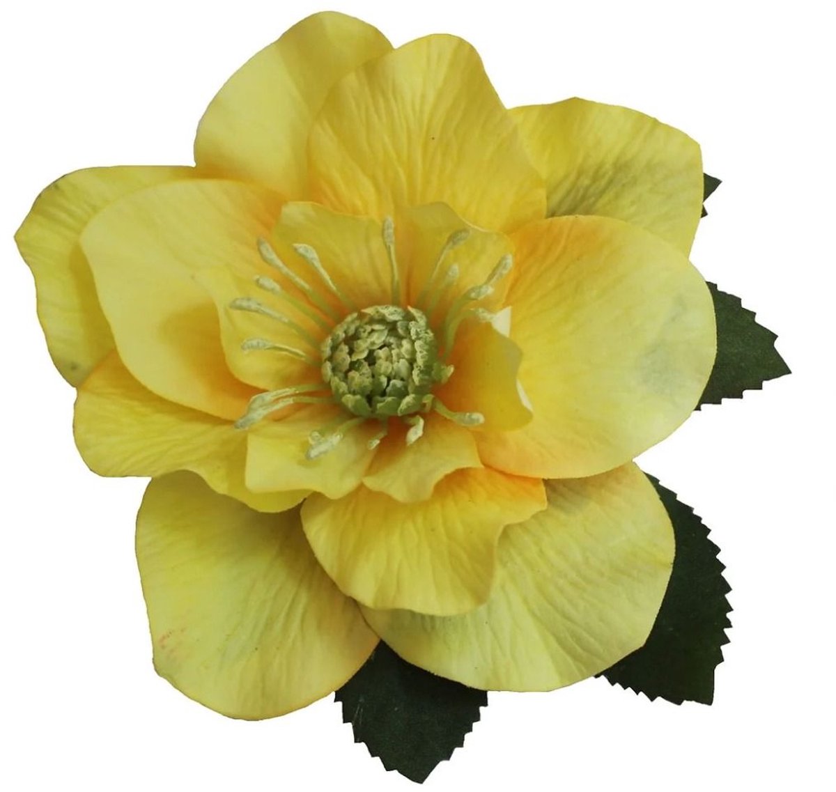 Brigitte Hellebore Haar Bloem Geel