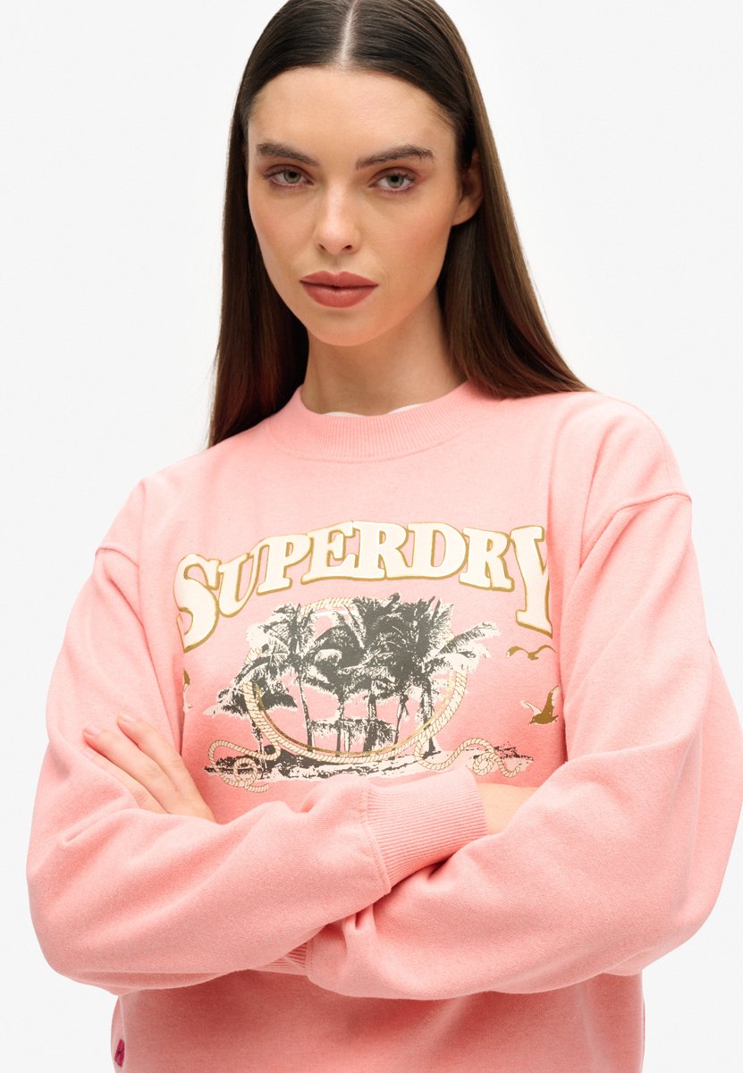 Superdry Travel Souvenir sweatshirt met losse pasvorm Dames Truien Roze