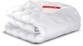 Bol.com Quilt 180x200 cm all-year anti-allergisch microvezel siliconen aanbieding