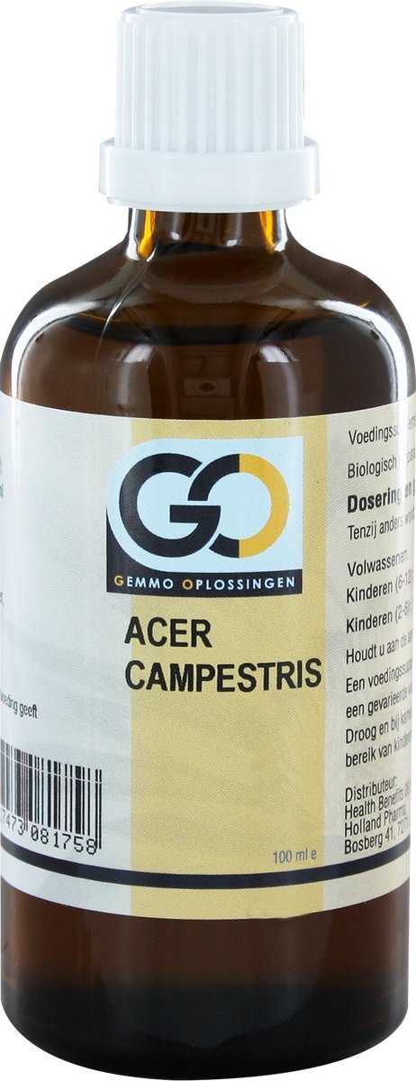GO Acer campestris bio 100 Milliliter