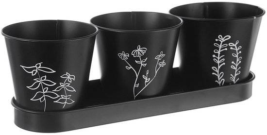 Pot de fleurs pour herbes sur pied BLACKLINE 4 c. à soupe - Pot de fleurs