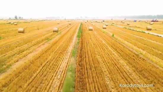 Tracteur télécommandé avec fourche à palette et Liserés larges – Échelle 1:24