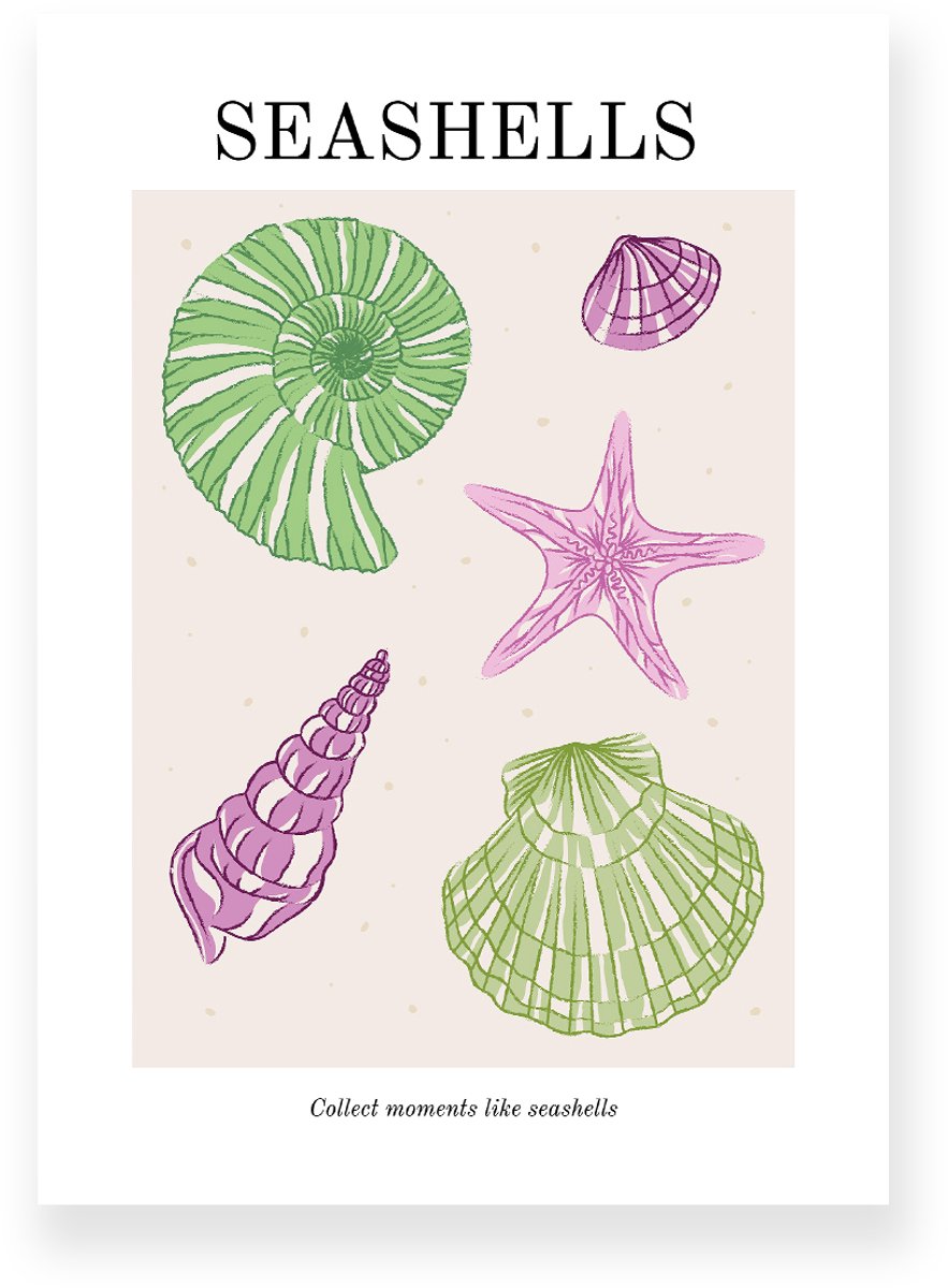 Yisual Poster 50x70 cm - Seashells - Strand - Groen - Paars - Minimalistisch - Boho - Muurdecoratie - Wanddecoratie