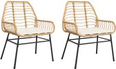 vidaXL Outdoor Meubilair - Tuinstoelen - Tuinstoelen 2 st met kussens poly rattan bruin - Lounge Stoel - Patio Stoel - Ratan Stoel