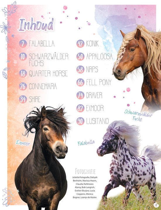 Penny Rassenboek Deel 2 - Paarden boeken - Paardenboek - Rassenboek - Paarden - Paarden Spullen - Paardencadeaus - Leesboek Paarden - Paard - Pony - Veulen - Vakantieboek