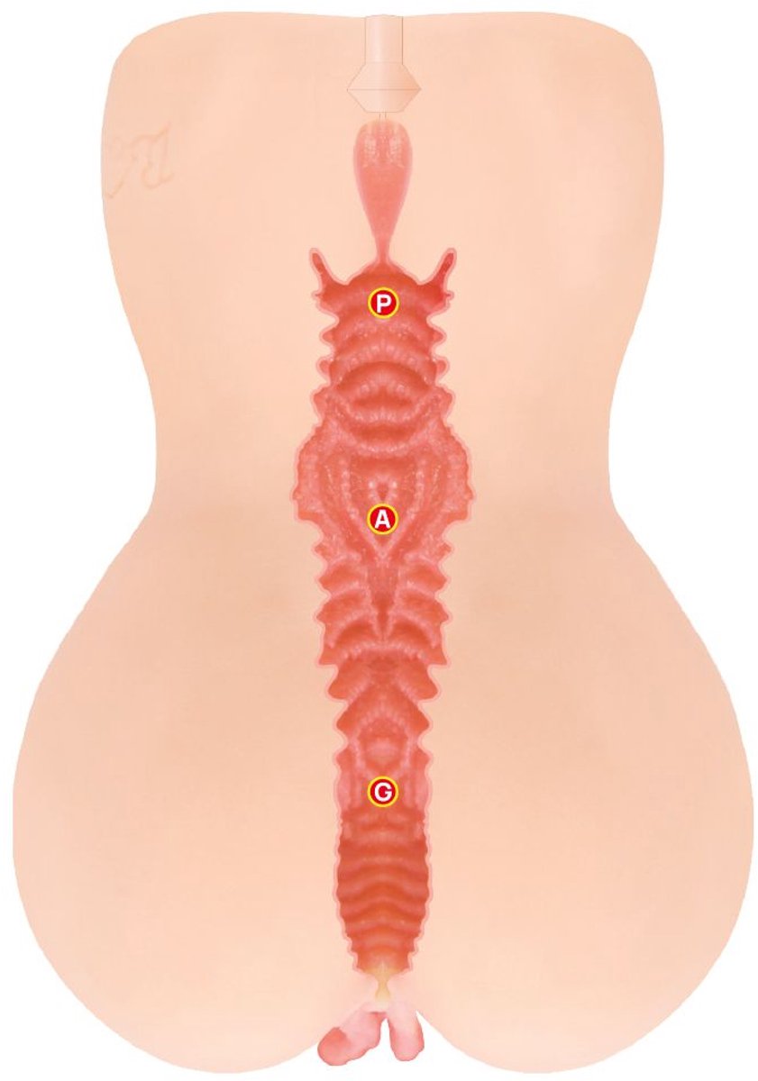 Kokos - Onahole Edition 001 Double Layer XL Masturbator