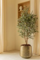 Olijfboom artificiel 165 cm Deluxe