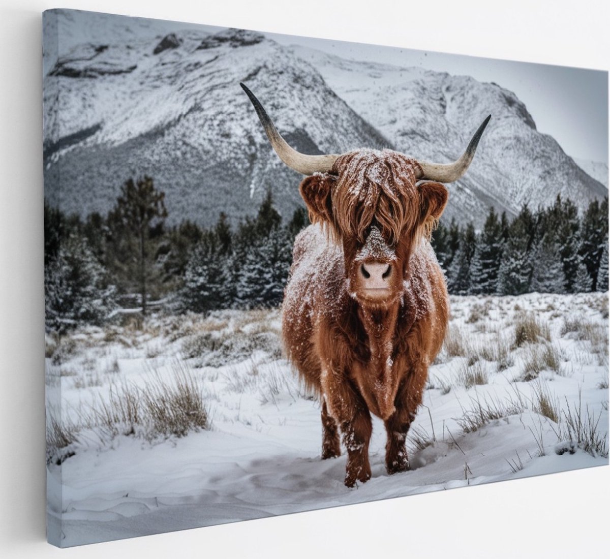 Saammp Canvas Schilderij Schotse Hooglander Koe in de wei - Dieren - Natuur - 30x20 - Foto op canvas - Wanddecoratie - muurdecoratie Woonkamer - Slaapkamer decoratie - Canvas Print Multicolor