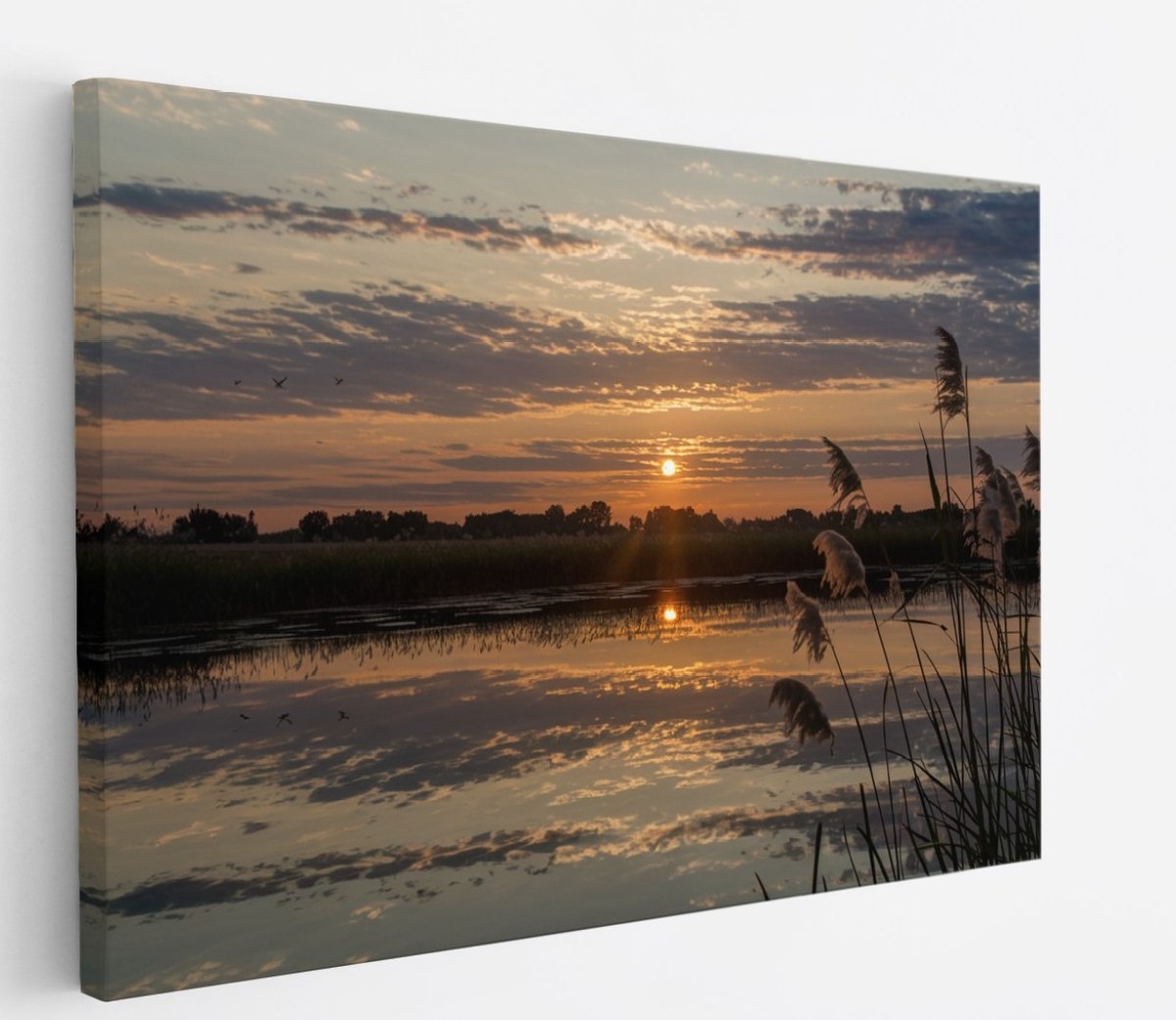 Saammp Canvas Schilderij -Landschap - Zonsondergang - Planten - 40x30 - Foto op canvas - Wanddecoratie - muurdecoratie Woonkamer - Slaapkamer decoratie - Canvas Print Multicolor