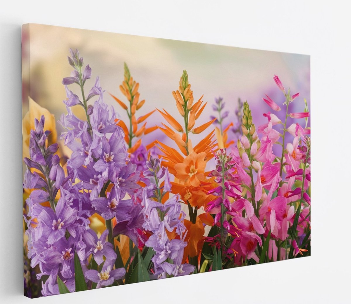 Saammp Canvas Schilderij - Vrolijke bloemencompositie - Kleurrijk - Natuur - Abstract - 40x30 - Foto op canvas - Wanddecoratie - Muurdecoratie Woonkamer - Kantoor Decoratie Multicolor