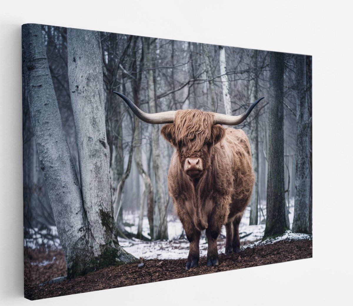 Saammp Canvas Schilderij - Schotse Hooglander Koe - Kunst - Zwart-Wit - Landschap - Dieren - Natuur - 150x100 - Foto op canvas - Wanddecoratie - muurdecoratie Woonkamer - Slaapkamer decoratie - Canvas Print Multicolor