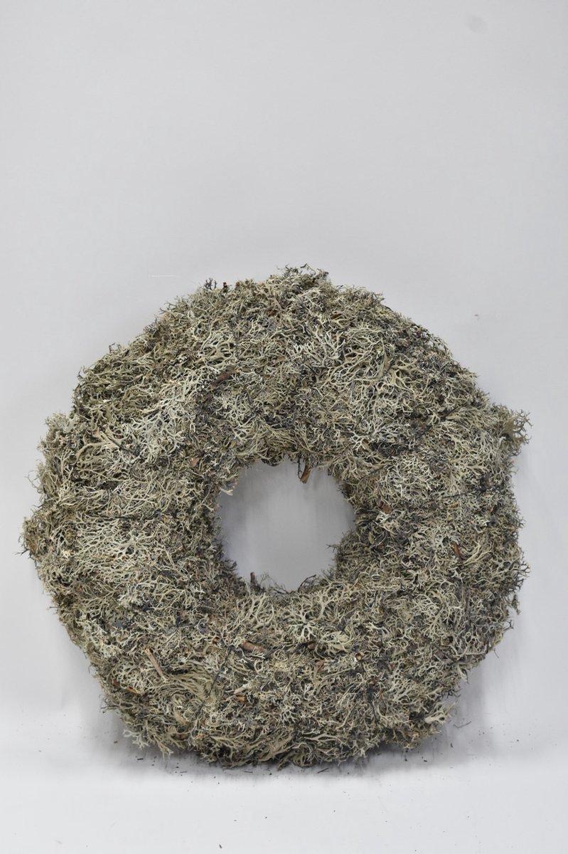 Couronne krans Mos Ø 45 cm grijs - Moskrans - Krans met boom mos / tree mos grey Ø 45 cm - Landelijk stoer sober robuust.