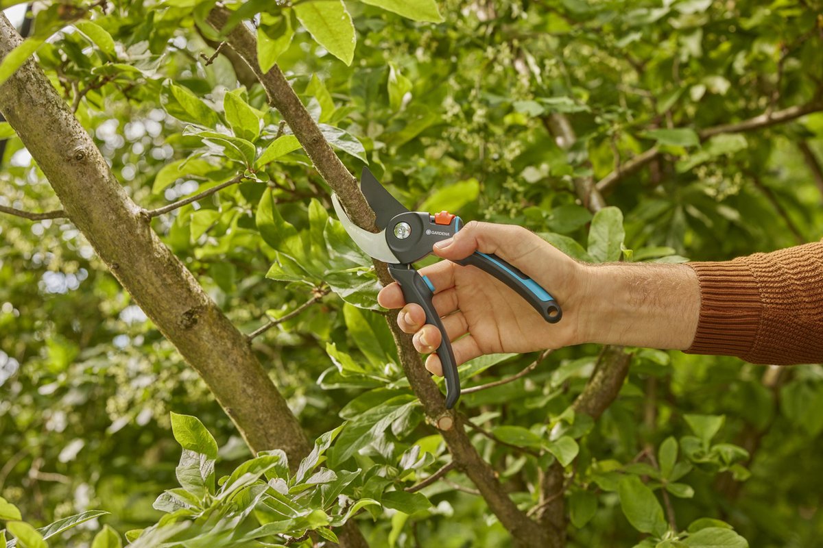 Gardena sécateur PremiumCut Pro bois vert