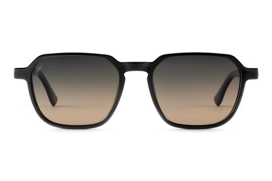 Jackie L Valence ZO-0272B shiny zwart - grijs-bruin polarised TAC - UV400 van Jackie L — afbeelding 2