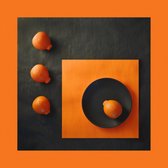 Tuinposter - Keuken / voeding - appelsien in oranje / bruin - 80 x 80 cm