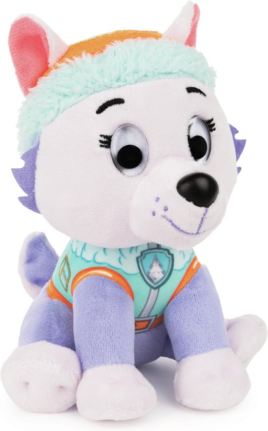 Everest, het witte en paarse puppy, draagt een turkoois en oranje outfit met een muts.