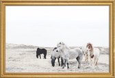 JUNIQE - Poster in houten lijst Wild and Free Horses 1 -40x60 /Ivoor &
