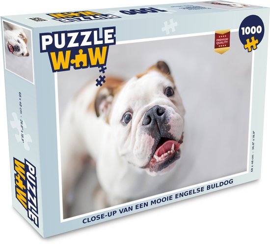 Puzzle Bulldog anglais 1000 pièces - Gros plan d'un beau bouledogue anglais  | bol.com
