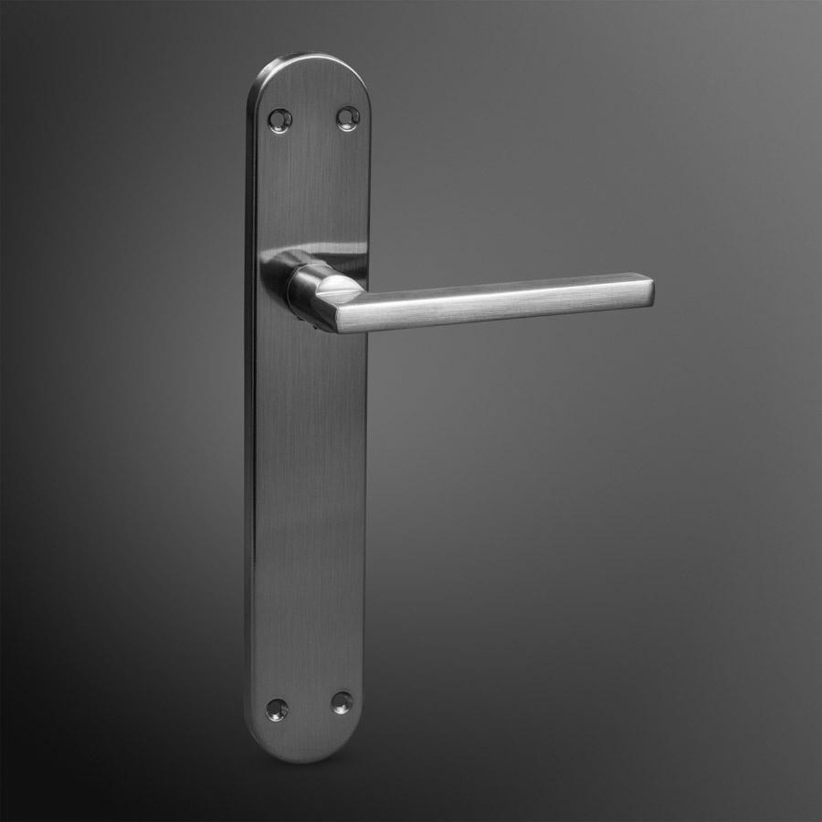 Poignée de porte inox ovale A store 250 x 42mm | bol.com