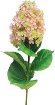By Kohler Hydrangea Microphila 85x5x5cm (110510)
