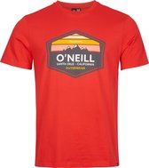 O'Neill T-Shirt MOUNTAIN TRADEMARK - Plaid - Xxl