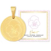 Ketting Birth Flower - Goudkleurig - 55 cm - Februari - Violet