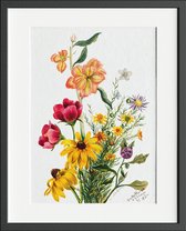 Poster met wilde bloemen - Assortiment gekleurde bloemen 2 - Mary Vaux Walcott - 30x40 cm - Stevig papier - Zonder lijst