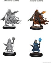 Pathfinder Deep Cuts Unpainted Miniatures - Evil Wizards