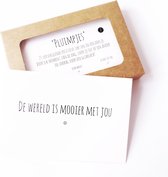 Jeu de plumes 2 - cartes de compliments - textes positifs doux dans une boîte