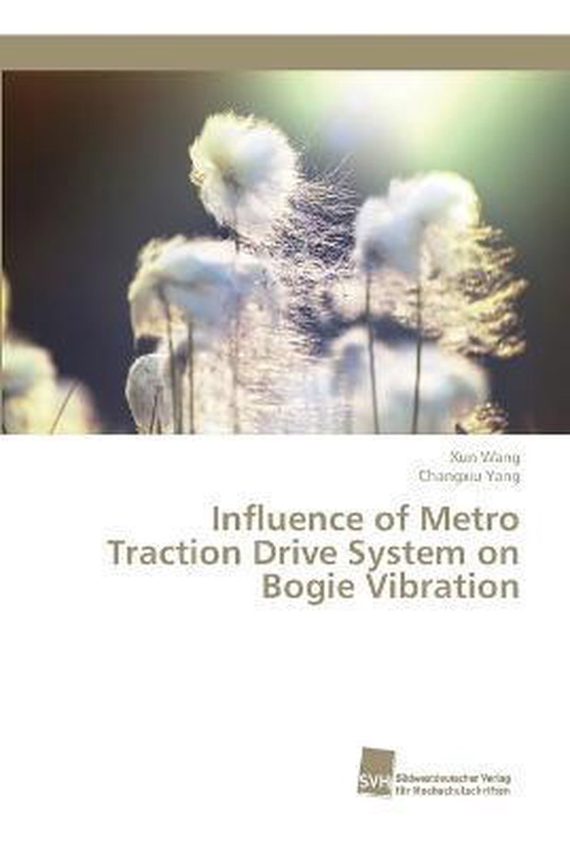 Influence of Metro Traction Drive System on Bogie Vibration - Xun Wang