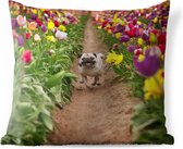 Buitenkussens - Tuin - Hond rennend door een tulpenveld - 40x40 cm