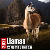 Calendar 2021 Llamas