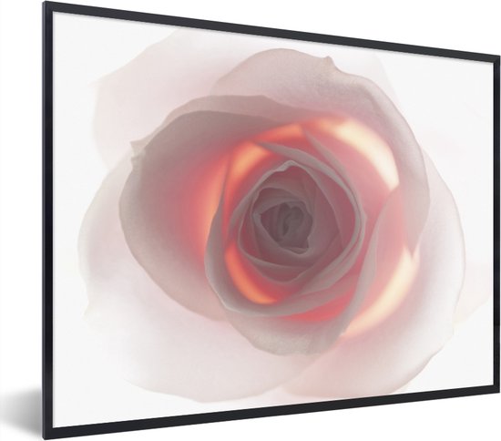 Gros plan d'un cadre photo rose rose noir sans support