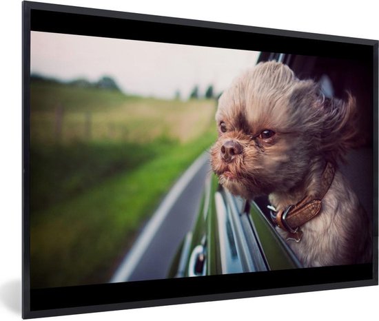 Cadre photo chien curieux noir sans passe-partout