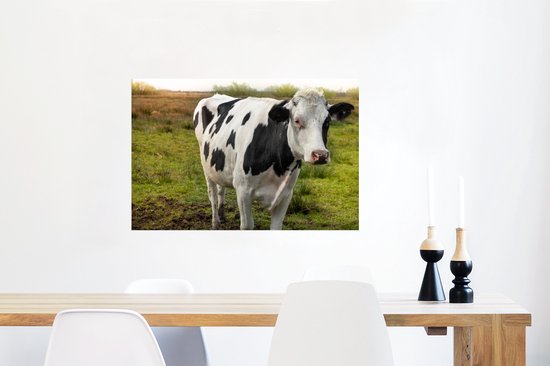 Gros plan d'une vache noire et blanche 90x60 cm