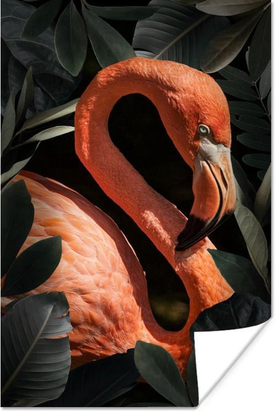 Portret van een flamingo tussen de bladeren 20x30 cm - klein - Foto print op Poster (wanddecoratie woonkamer / slaapkamer)